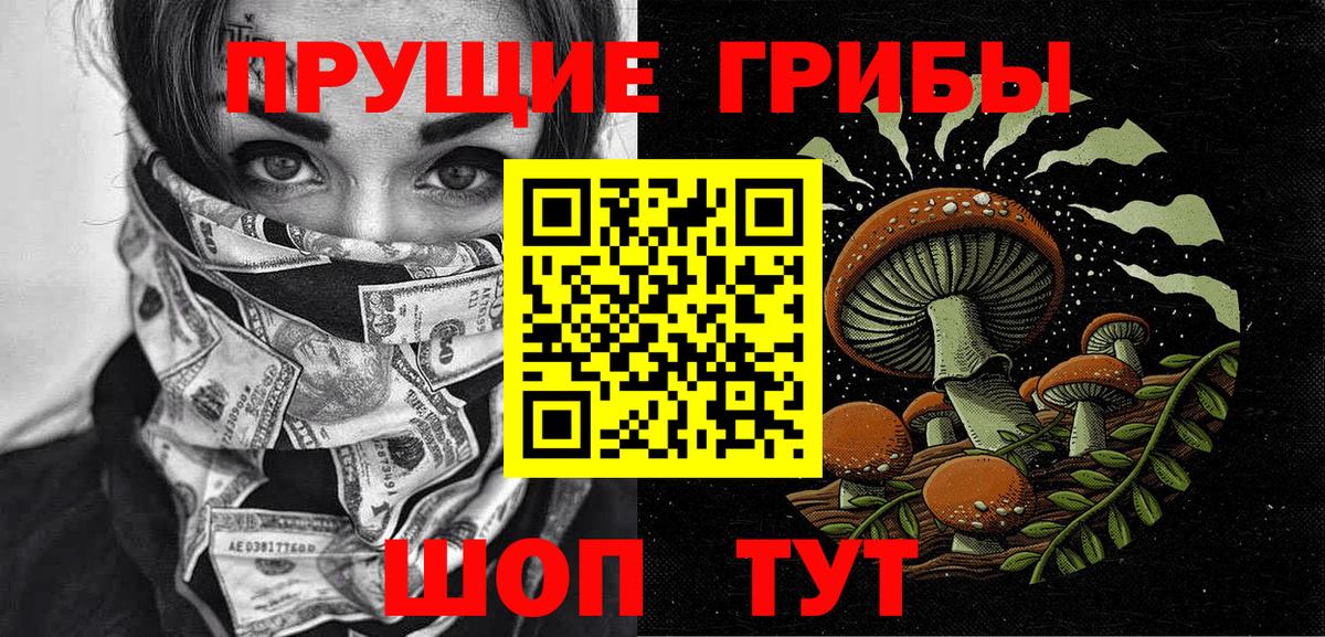 Краснодар  Псилоцибиновые грибы прущие грибы  купить закладку  Вход с VPN 